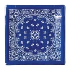Blue Bandana Lunch Plates 8ct