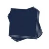 Navy & Silver Stripe Lunch Napkins 20ct