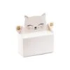 Pink Cat Favor Boxes 6ct