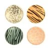 Meri-Meri Safari Animal Print Dessert Plates 8ct